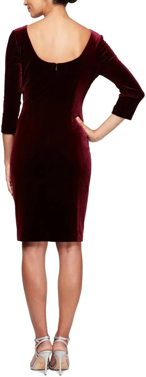Alex Evenings Women's Short Velvet Cocktail Dress with Beading Detail (Reg Petite)
